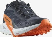 Salomon LI3170_L47459400, Salomon Sense Ride 5 GTX Herren Trailrunningschuhe, grau,