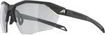 Alpina Twist Six HR V Sonnenbrille, schwarz 4003692321084