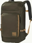 Jack Wolfskin 2020301_4341, Jack Wolfskin Dachsberg Wanderrucksack, gr&uuml;n