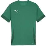 Puma teamGOAL Matchday Herren Trikot, gr&uuml;n 4099685718306