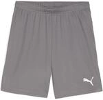 Puma teamGOAL Herren Shorts, grau 4099685716708