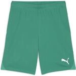 Puma teamGOAL Herren Shorts, gr&uuml;n 4099685724260