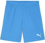 Puma teamGOAL Herren Shorts, blau 4099685727506