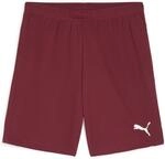 Puma teamGOAL Herren Shorts, rot 4099685724918