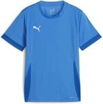 Puma teamGOAL Matchday Kinder Trikot, blau 4099685717644