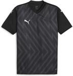Puma teamGLORY Herren Trikot, schwarz 4099685746644