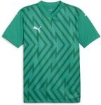 Puma teamGLORY Herren Trikot, gr&uuml;n 4099685742875
