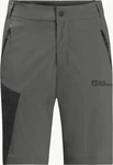 Jack Wolfskin 1508231_6945, Jack Wolfskin Glastal Herren Shorts, grau male