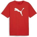 Puma teamRISE Logo Cotton Herren T-Shirt, rot 4067978042568