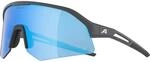 Alpina A8733_22, Alpina Sonic HR Q Sonnenbrille, grau