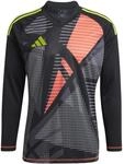 Adidas Tiro 24 Competition Langarm Torwarttrikot Herren Torwarttrikot, schwarz