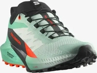 Salomon LI3122_L47698300, Salomon Sense Ride 5 Damen Trailrunningschuhe, gr&uuml;n,