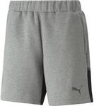 Puma teamCUP Casuals Herren Shorts, grau 4065453317170