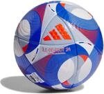 adidas JRV90_IS7439, Adidas &Icirc;le-De-Foot 24 Pro Outdoor-Fu&szlig;ball, wei&szlig;