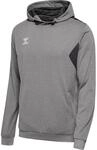 Hummel Authentic PL Herren Kapuzensweater, grau 5715454333455