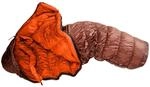 Deuter Exosphere -6&deg; EL Herren Alpin-Schlafsack, braun 4046051154398