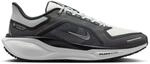 Nike Pegasus 41 GTX Waterproof Road Herren Laufschuhe, schwarz, Gr&ouml;&szlig;e 43