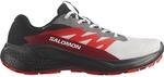 Salomon Alphaglide GTX Herren Trailrunningschuhe, grau, Gr&ouml;&szlig;e 47 ⅓ 195751906289