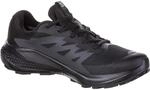 Salomon Alphaglide GTX Herren Trailrunningschuhe, schwarz, Gr&ouml;&szlig;e 42 ⅔
