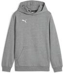 Puma teamGOAL Casuals Junior Jungen Pullover, grau 4099686781736