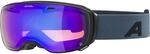 Alpina Estetica dirt Q Skibrille, schwarz 4003692317872