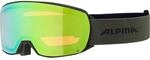 Alpina Nakiska Q Herren Skibrille, schwarz 4003692317766