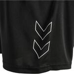 Hummel TE Flex Mesh Herren Shorts, schwarz 5700499127954