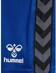 Hummel Authentic PL Herren Shorts, blau 5700499369606