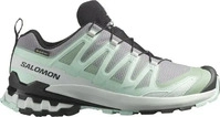 Salomon LI3152_L47823100, Salomon XA Pro 3D V9 GTX Damen Trailrunningschuhe, grau,