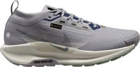 Nike FQ0908_006, Nike Pegasus Trail 5 GTX Waterproof Trail Herren Laufschuhe, grau,