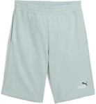Puma ESS 2 Color No. 1 Logo 10 " TR Herren Shorts, gr&uuml;n 4067983595905