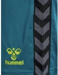 Hummel Authentic PL Herren Shorts, blau 5700499369675