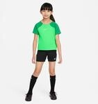 Nike Dri-Fit Academy Pro Training Kinder, gr&uuml;n 195244607051