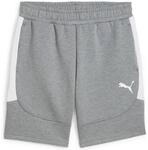 Puma Teamevostripe Herren Shorts, grau, Gr. S 4067984095527