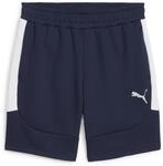 Puma Teamevostripe Herren Shorts, blau, Gr. S 4067984095671