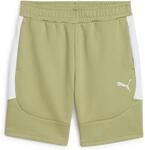 Puma Teamevostripe Herren Shorts, gr&uuml;n, Gr. S 4067984095251