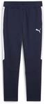 Puma Teamevostripe Herren Sporthose, blau, Gr. S 4067984093691