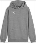 Puma teamGOAL Casuals Junior Jungen Pullover, grau, Gr. 116 4099686781699