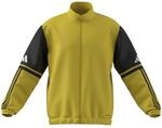 Adidas Performance Squadra 25 Presentation Herren Fu&szlig;balljacke, gelb, Gr. M