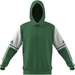 Adidas Squadra 25 Herren Kapuzensweater, gr&uuml;n 4067901151343