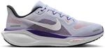 Nike Pegasus 41 Road Damen Laufschuhe, grau, Gr&ouml;&szlig;e 41 198481247363