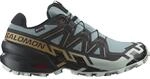 Salomon Speedcross 6 GTX Herren Trailrunningschuhe, grau, Gr&ouml;&szlig;e 42 198720085060