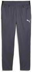 Puma IndividualLIGA Training Herren Sporthose, grau, Gr. S 4067984096265