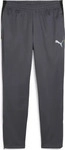 Puma 659517_08, Puma IndividualLIGA Training Herren Sporthose, grau, Gr. S male