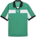 Puma teamCLASSIC Match Herren T-Shirt, gr&uuml;n 4069157135832