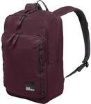 Jack Wolfskin A64020_I0116, Jack Wolfskin Terracade Daybag, lila