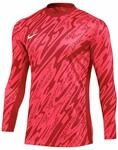 Nike Dri-Fit Gardien V Goalkeeper Herren Longsleeve, rot 196976691998