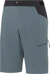 Vaude 47462_964, Vaude Qimsa Pro Herren Shorts, grau male