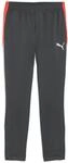 Puma IndividualLIGA Training Herren Sporthose, grau, Gr. S 4069157260008