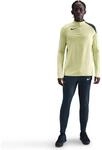 Nike Strike Dri-Fit Herren Trikot, gr&uuml;n 198482433901